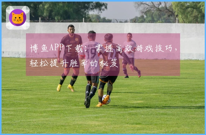 博鱼APP下载：掌握高效游戏技巧，轻松提升胜率的秘笈