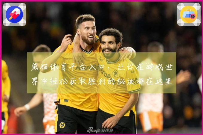 熊猫体育平台入口，让你在游戏世界中轻松获取胜利的秘诀都在这里！