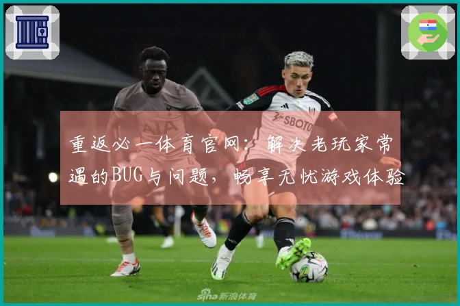 重返必一体育官网：解决老玩家常遇的BUG与问题，畅享无忧游戏体验