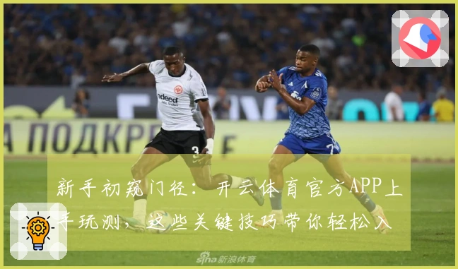 新手初窥门径：开云体育官方APP上手玩测，这些关键技巧带你轻松入门